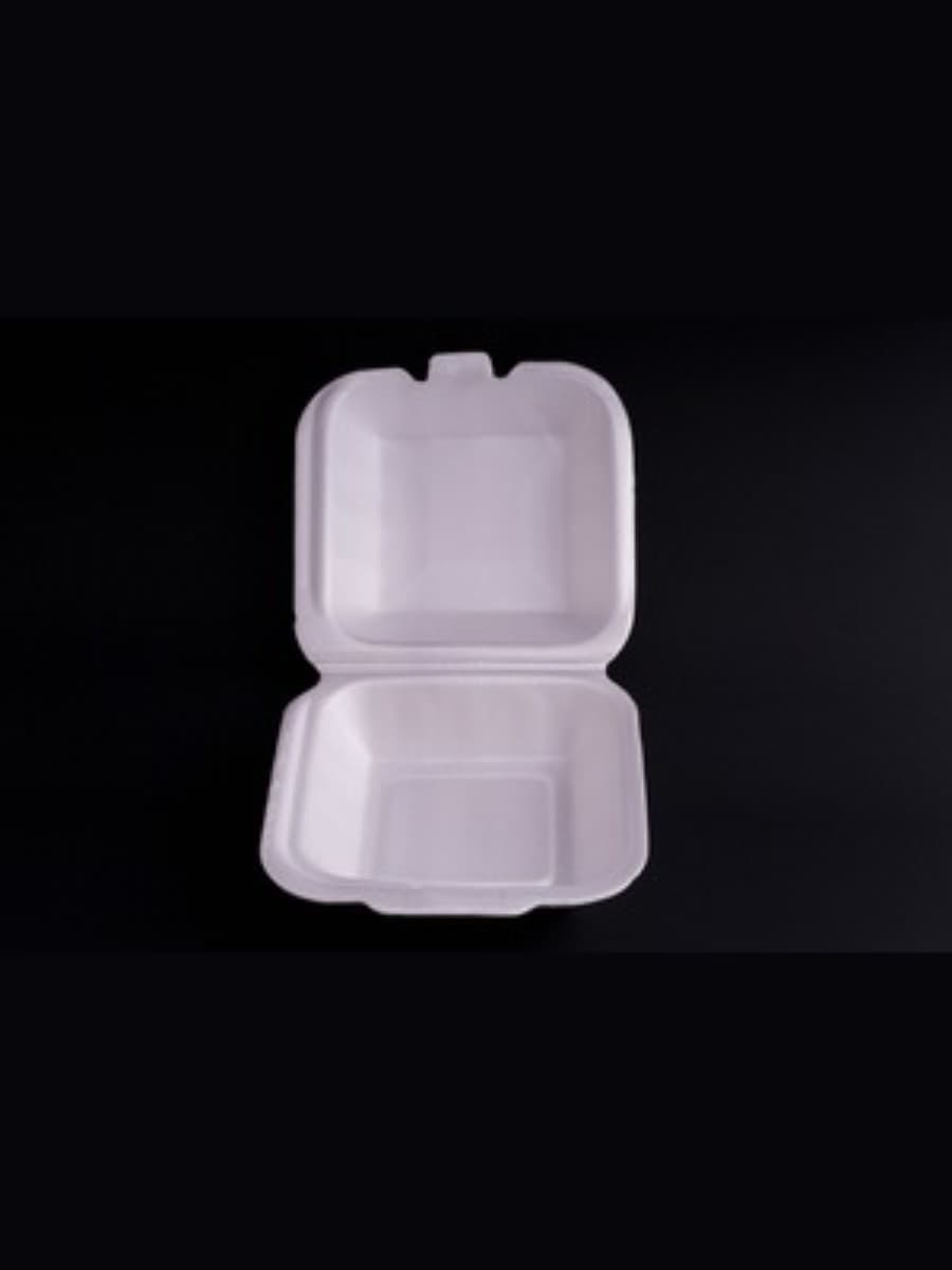 PS AP BURGER BOX (B-10) 4