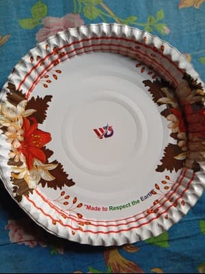 One time paper plate 2