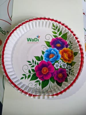 One time paper plate 4
