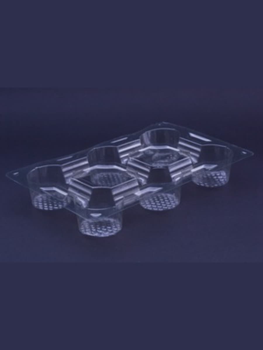 Six compartment food packaging tray 2