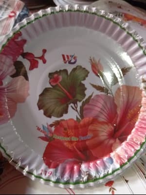One time paper plate
