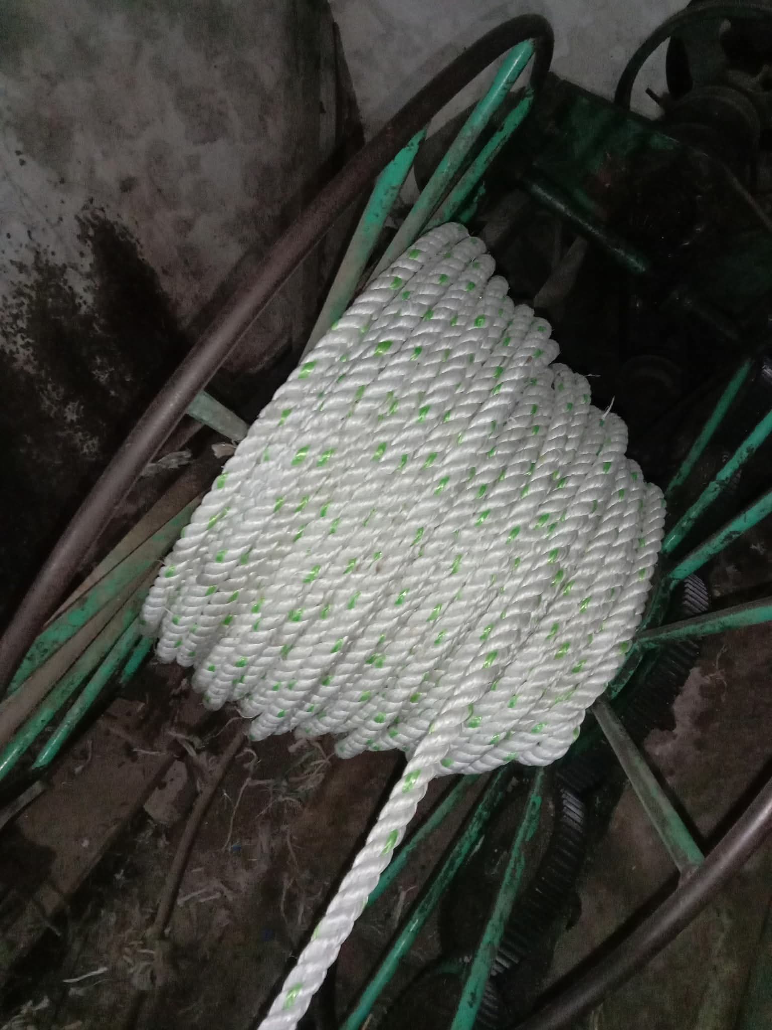 Rog Pata Rope 2
