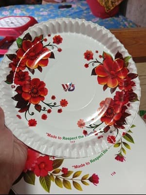 One time paper plate