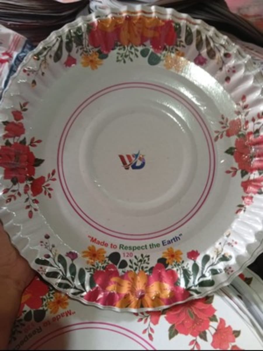One time paper plate 2