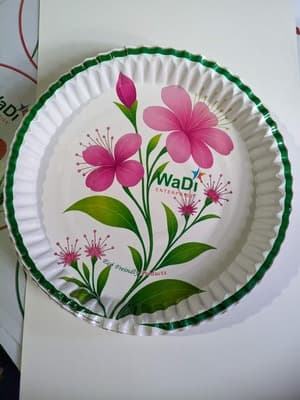 One time paper plate 3