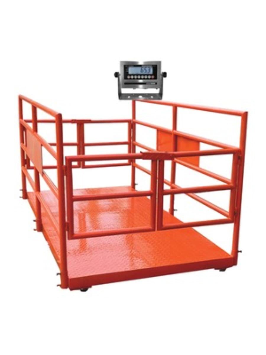 Cattle Weight Scale (Buffalo – Cow – Bull)-2 Ton #dairyman