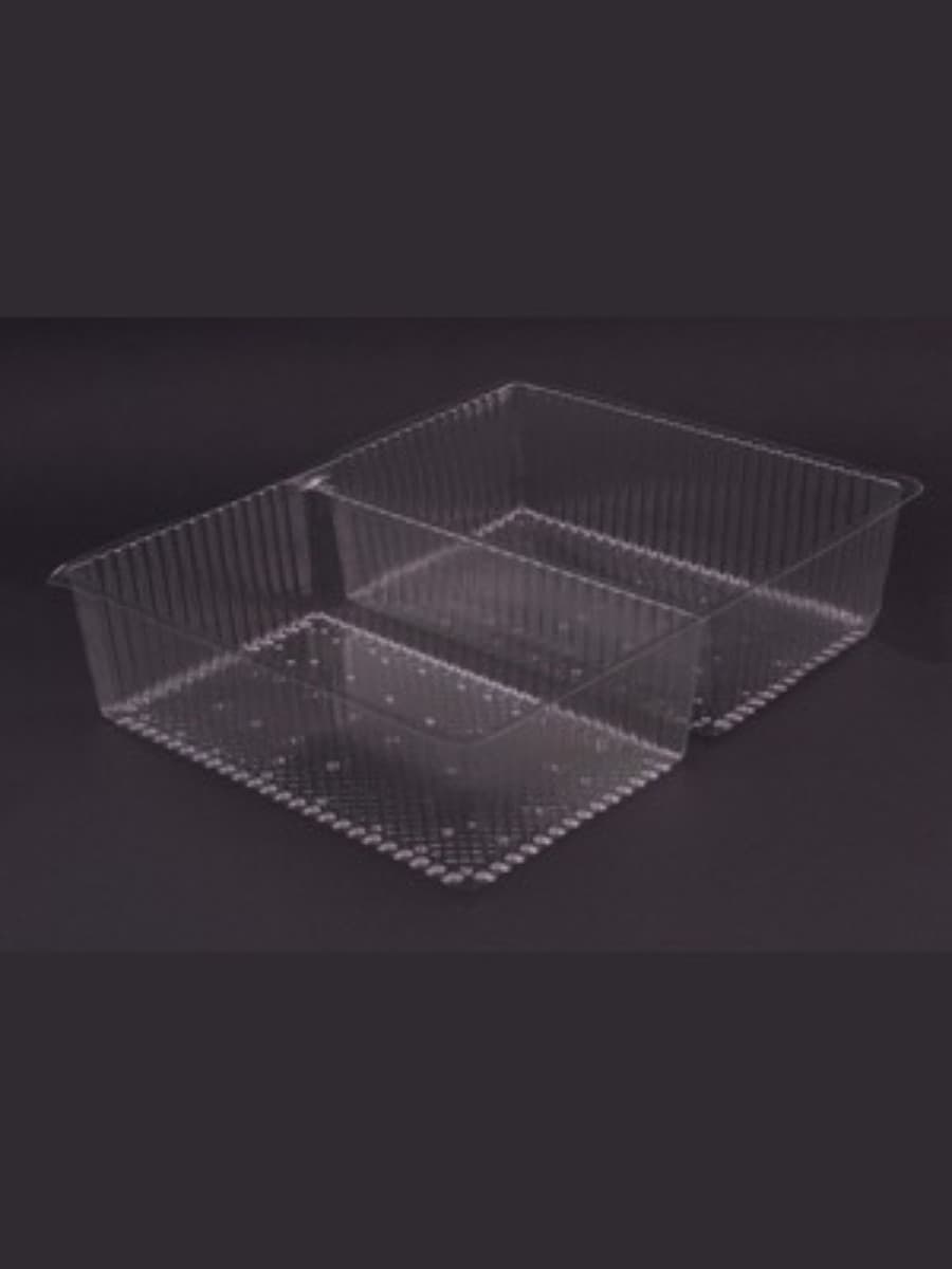 wo-compartment disposable food tray 3