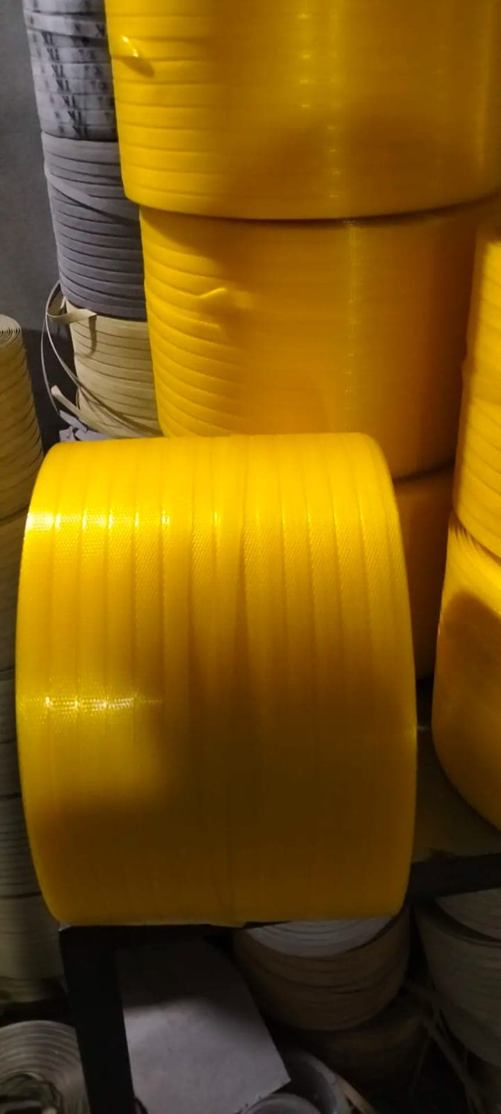 Plastic Packing Belt 2