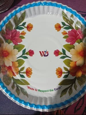 One time paper plate 3