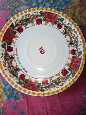 One time paper plate 2