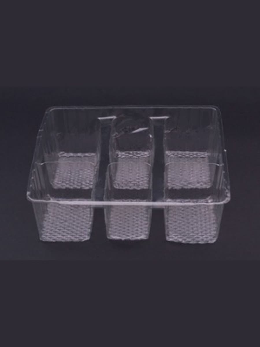 6-compartment disposable plastic food tray