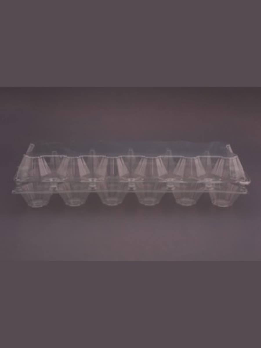 Plastic Egg Holder Tray 2