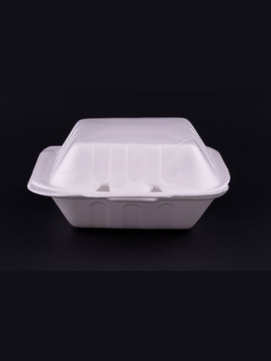 PS AP BURGER BOX (B-10) 5