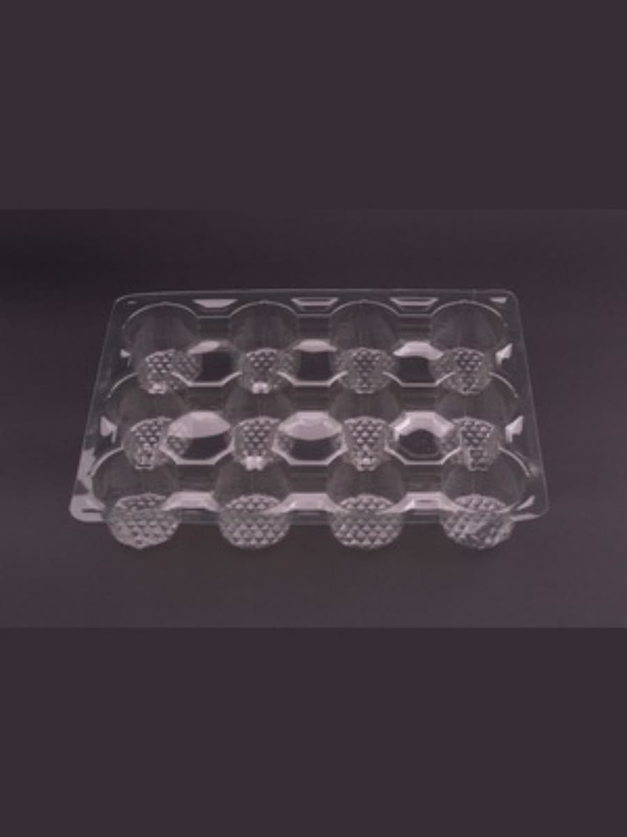 Twelve Compartment Food packaging tray 3