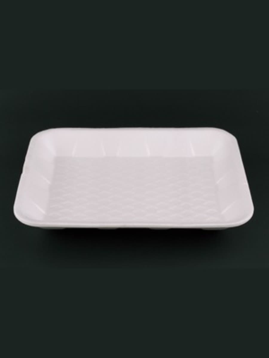 PS AP FOAM TRAY 16(T-16) -2 5