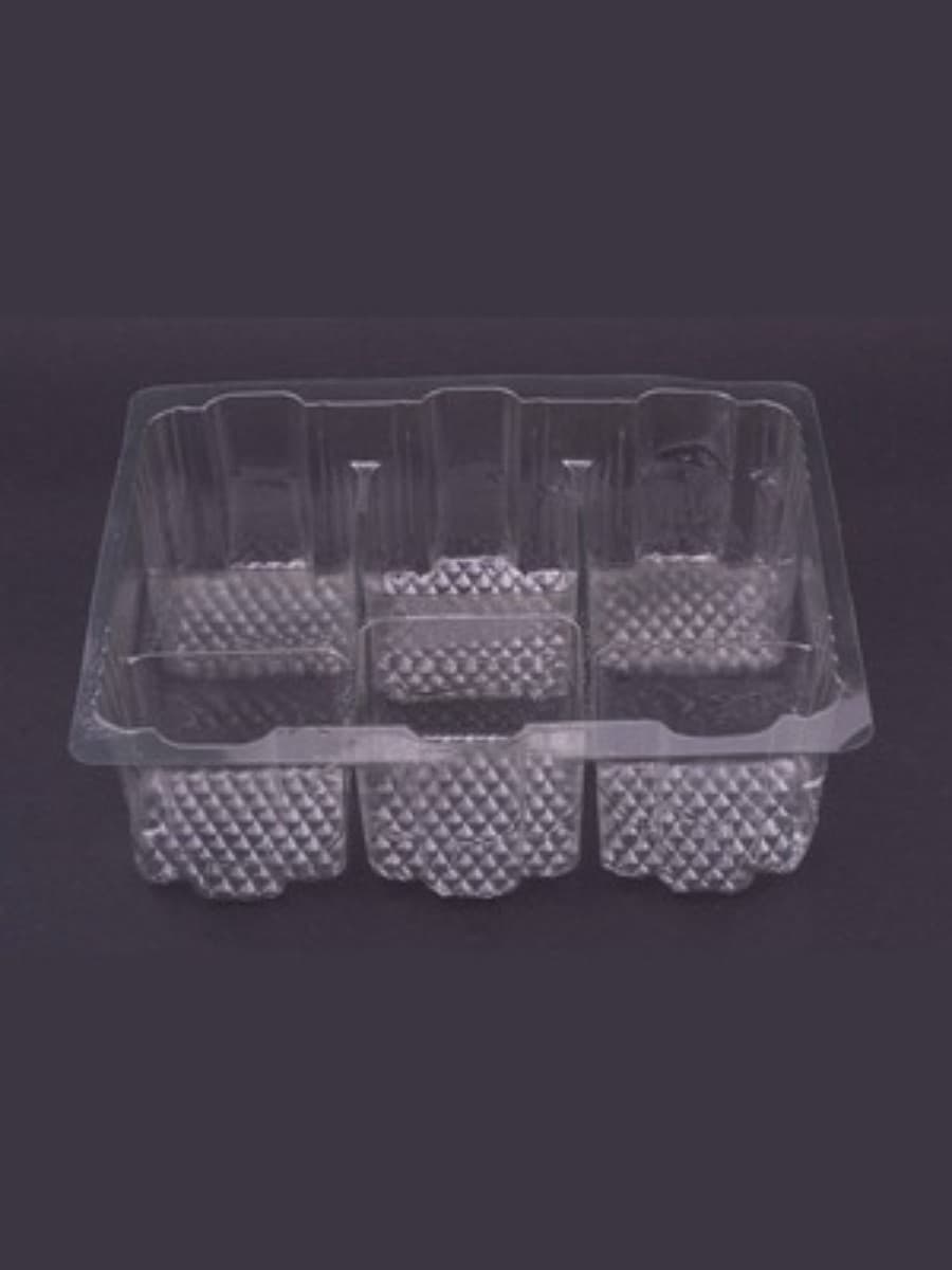 Six Compartment food tray 2