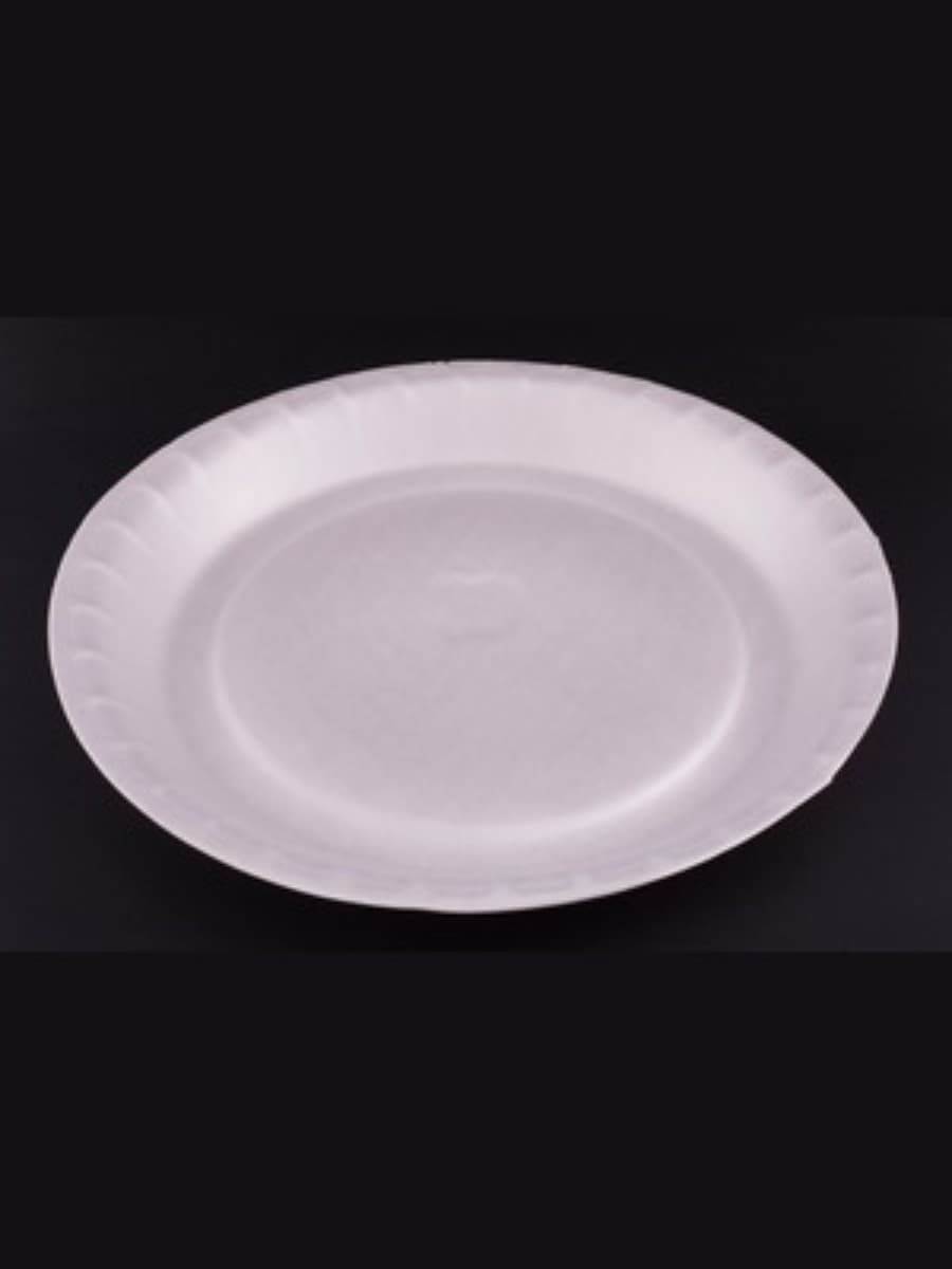 PS AP-12_ FOAM PLATE (P-25) -2 3