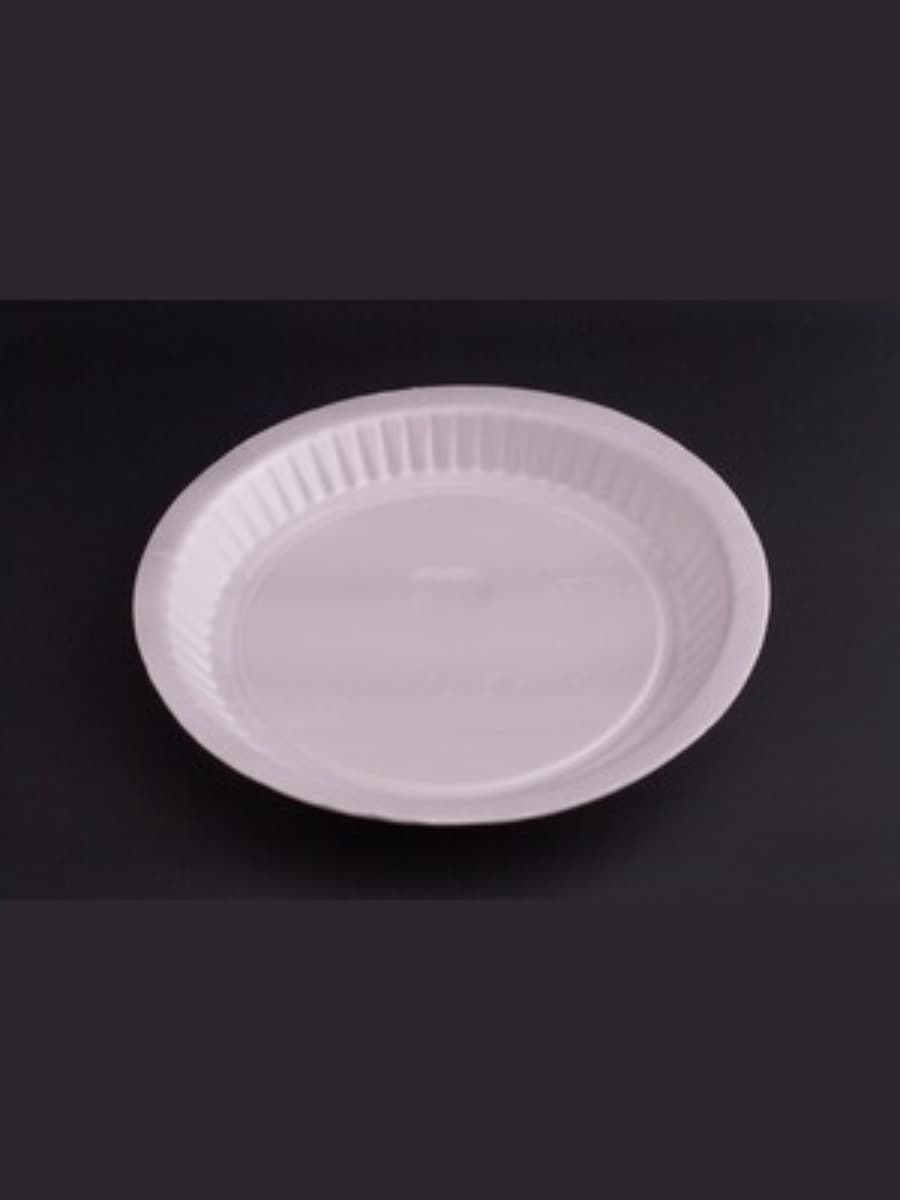 PS AP-8_ FOAM PLATE (P-21) 3