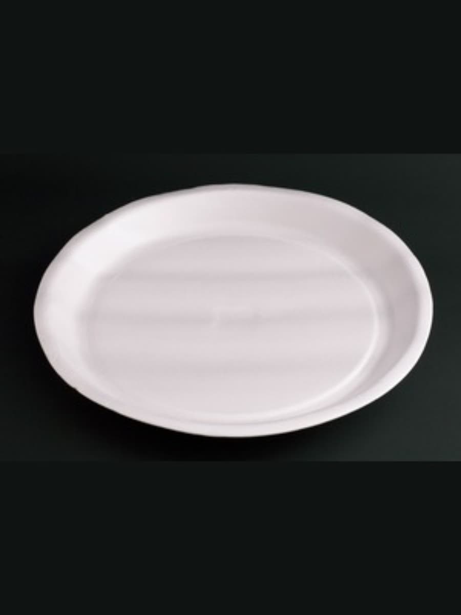 PS AP-10_ FOAM PLATE (P-22) 3