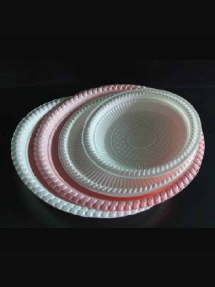 Plastic Tableware Plates (Value Pack)