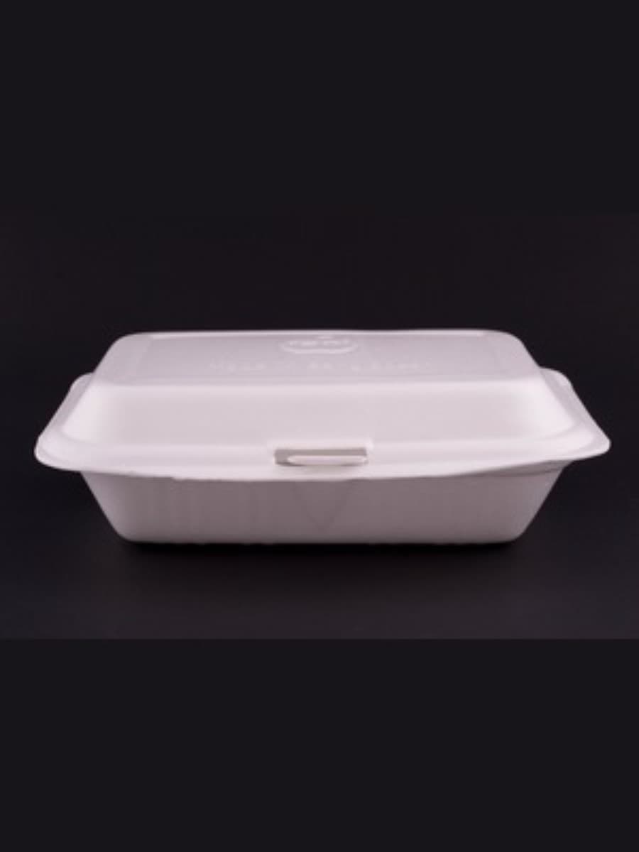 PS AP LUNCH BOX 21(AP-21)