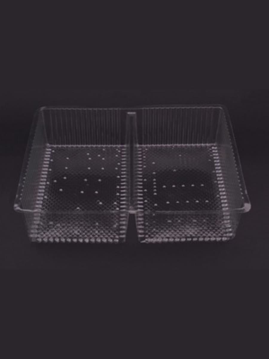 wo-compartment disposable food tray