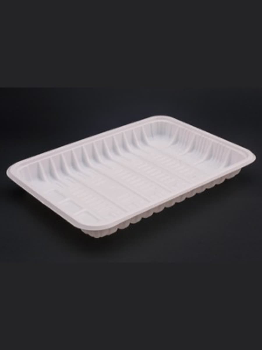HIPS 8_ FORTUNE TRAY Container